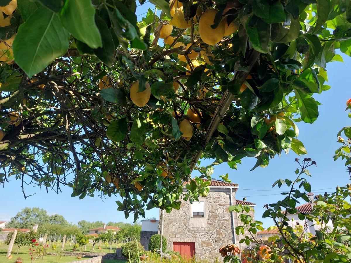 מלון ויאנה דו קסטלו Quinta Da Ponte מראה חיצוני תמונה